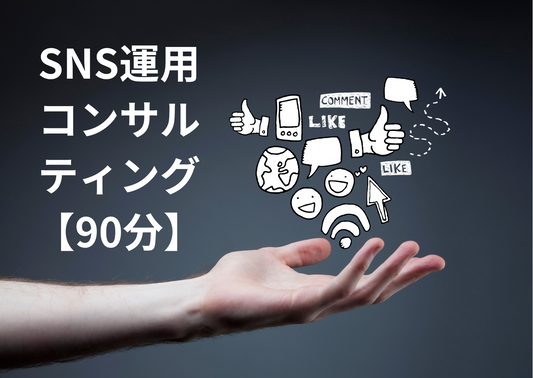 SNS運用コンサル(オンライン)【90分】