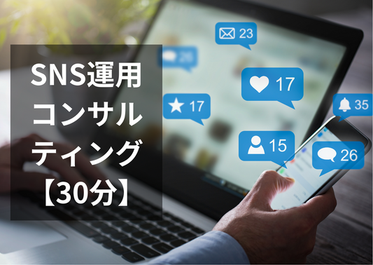 SNS運用コンサル(オンライン)【30分】